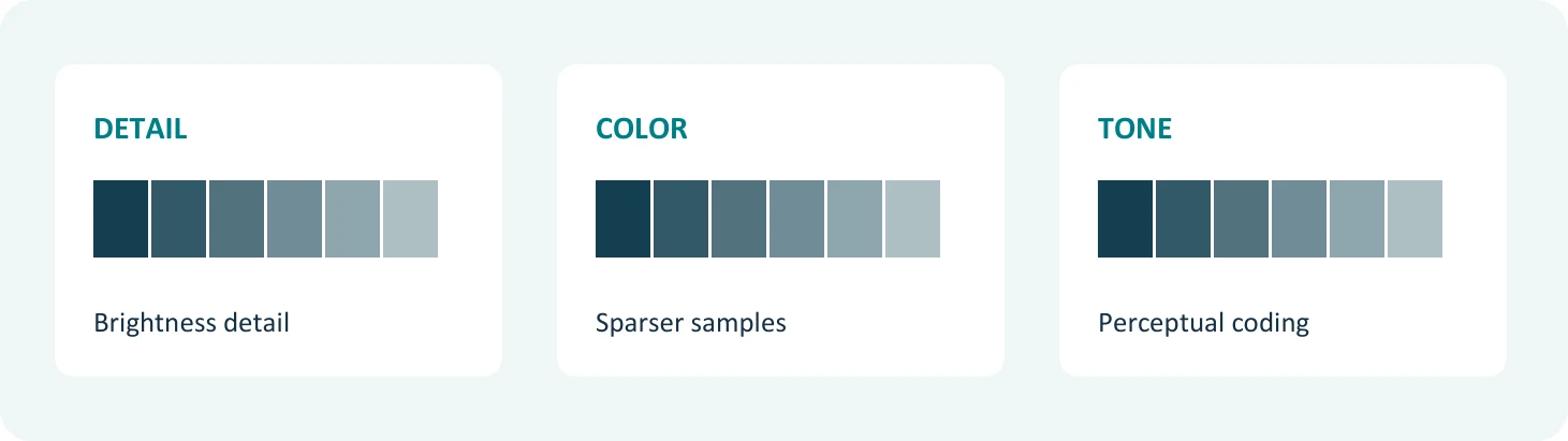 Three design decisions: preserving brightness detail, reducing color samples, and representing tones with a suitable encoding. Conceptual diagram.