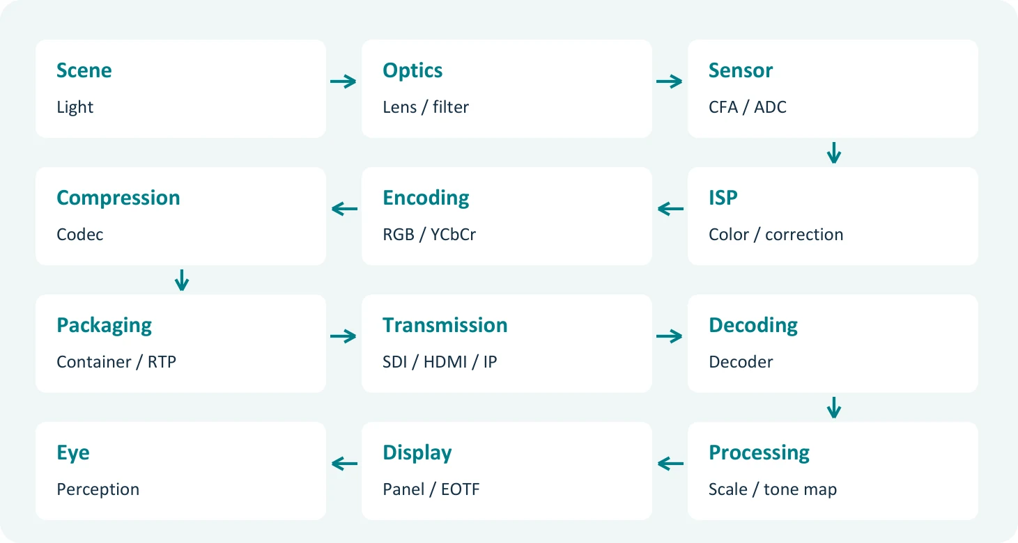 A typical end-to-end video chain. On a path such as uncompressed SDI, the codec and container blocks can be skipped. CFA: color filter array; ADC: analog-to-digital converter.