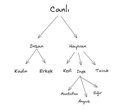 Inheritance